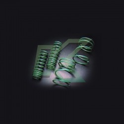 ESPIRALES PROGRESIVOS TEIN S.TECH / TOYOTA TERCEL 95-99